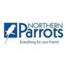 Northern Parrots